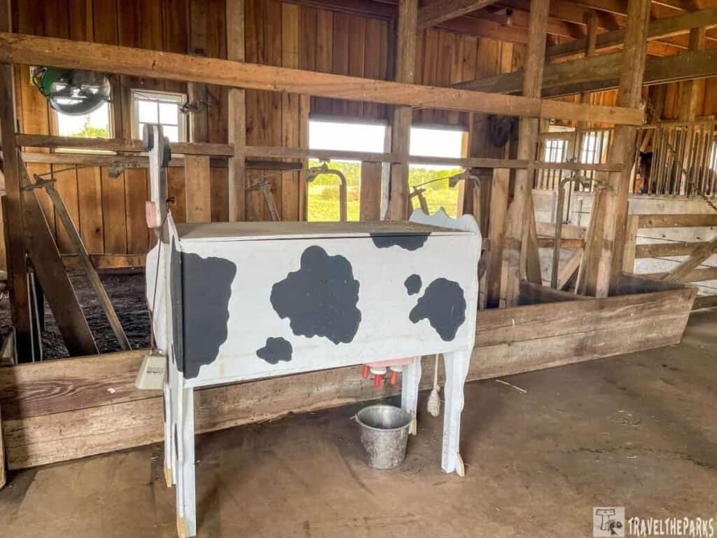 Indoor barn with a cow-shaped milking demonstration structure and metallic bucket.