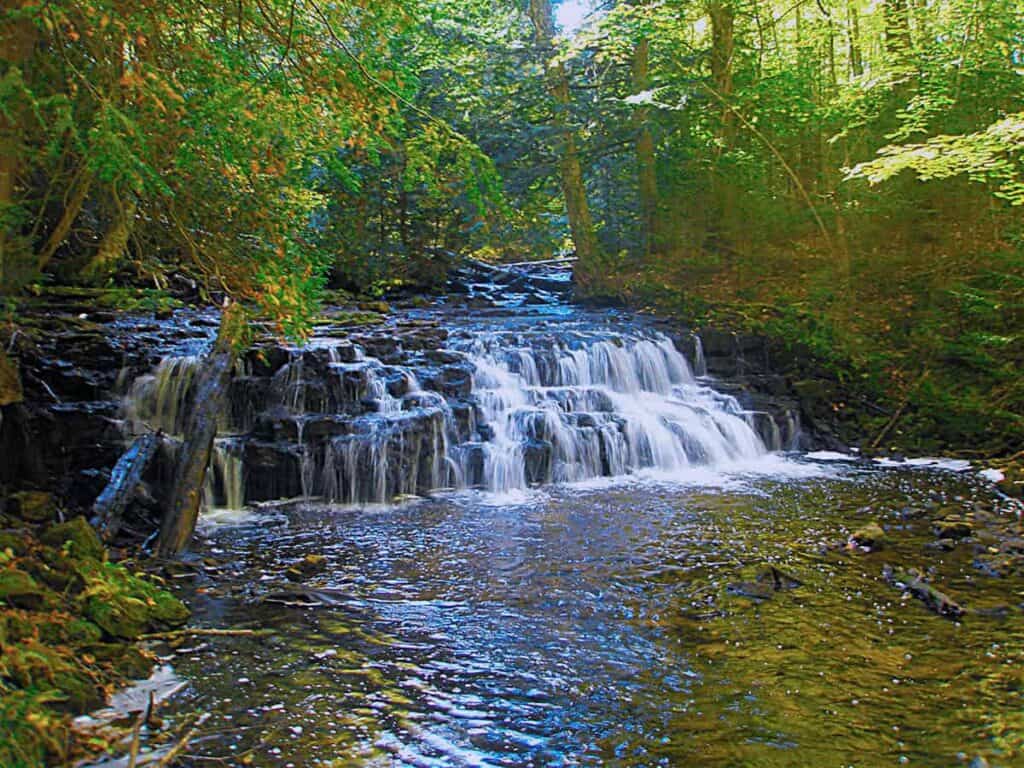 Mosquito Falls is only a few feet high and travels through the beech-maple forest. NPS Photo