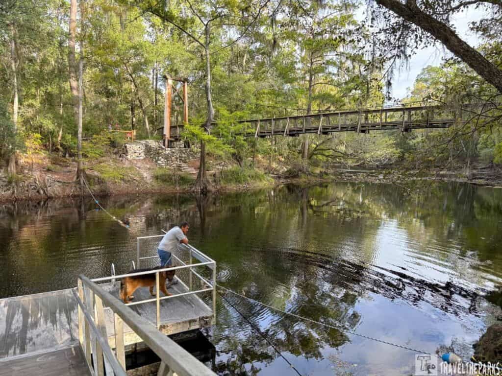 A man and a dog on a dock by a river at O'Leno State Park with a wooden suspension bridge in the background.

