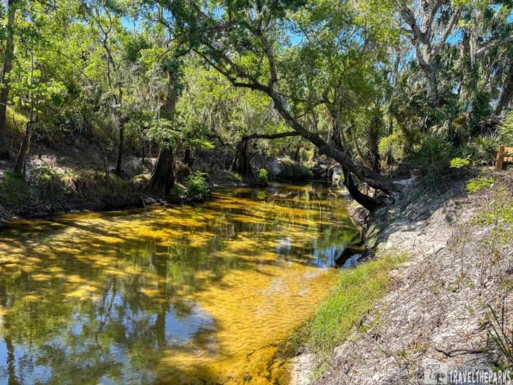 A reflective view of Paynes Creek with reflections of green trees and blue sky at Paynes Creek State Historic Park.