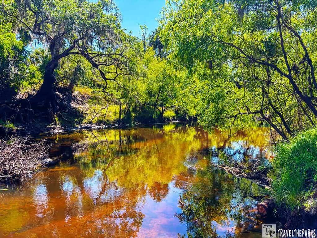 A scenic view of the Peace River with reflections of green trees and blue sky at Paynes Creek State Historic Park.