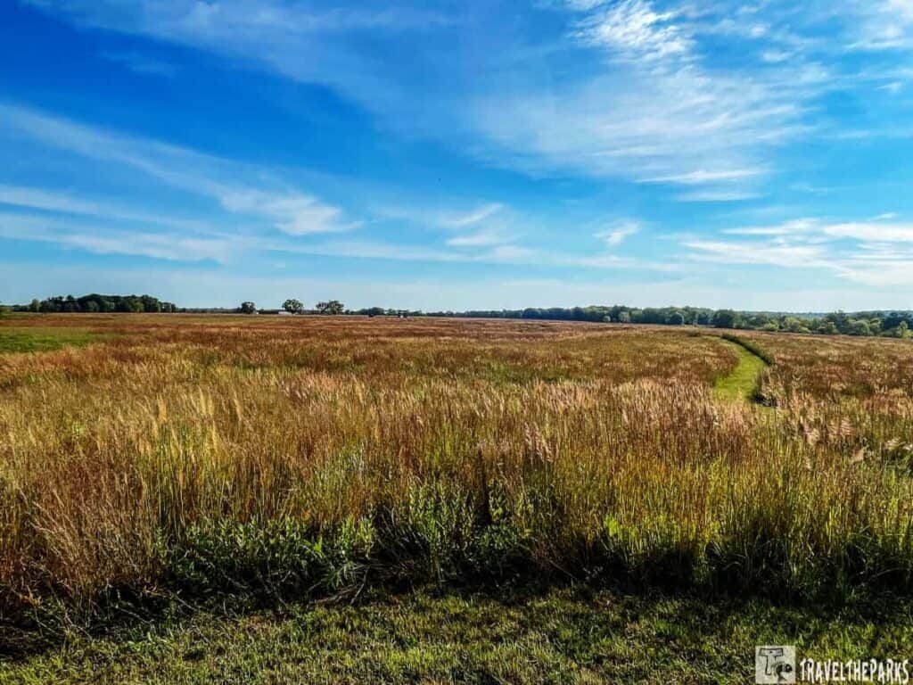 Open prairie landscape with a winding path under a blue sky.


