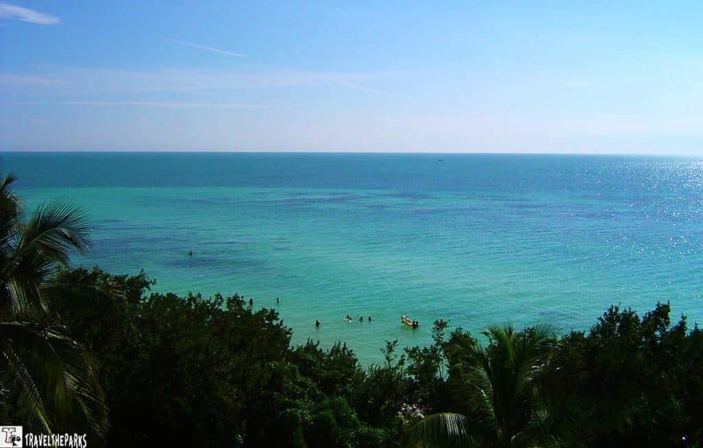 A scenic view of a turquoise ocean with a clear blue sky and people swimming near the shore, framed by palm trees and foliage.