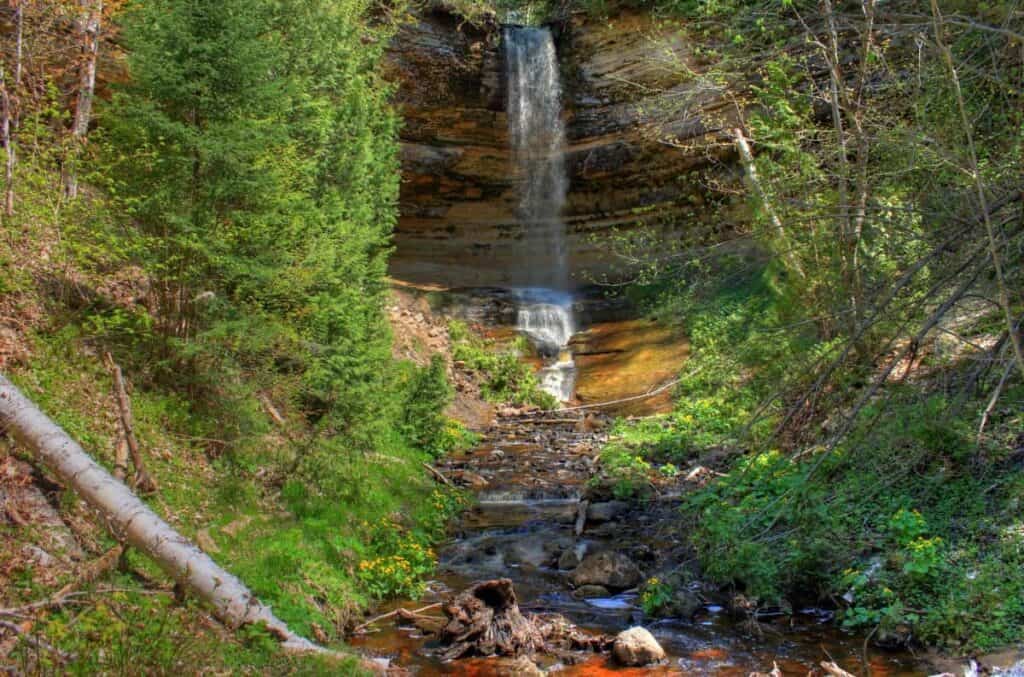 A waterfall cascading down a rocky cliff into a stream within a lush forest.