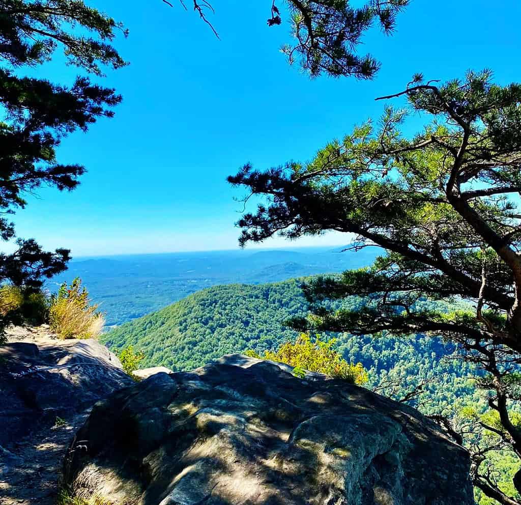 View from a rocky cliff over green hills and mountains under a blue sky, framed by tree branches.