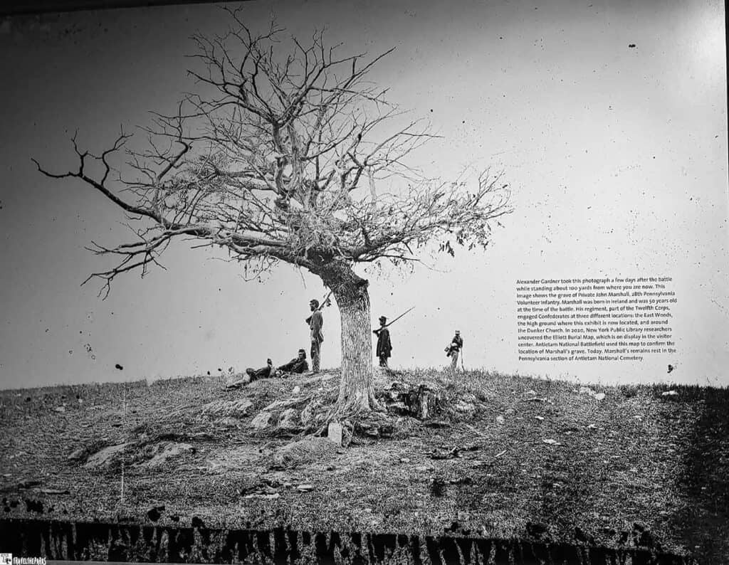 Black-and-white photo of a barren tree with Civil War soldiers beneath it.