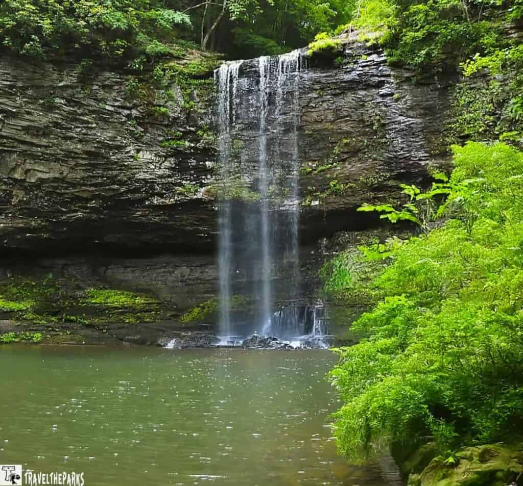 Waterfall cascading over rocks into a pool, surrounded by lush greenery.
