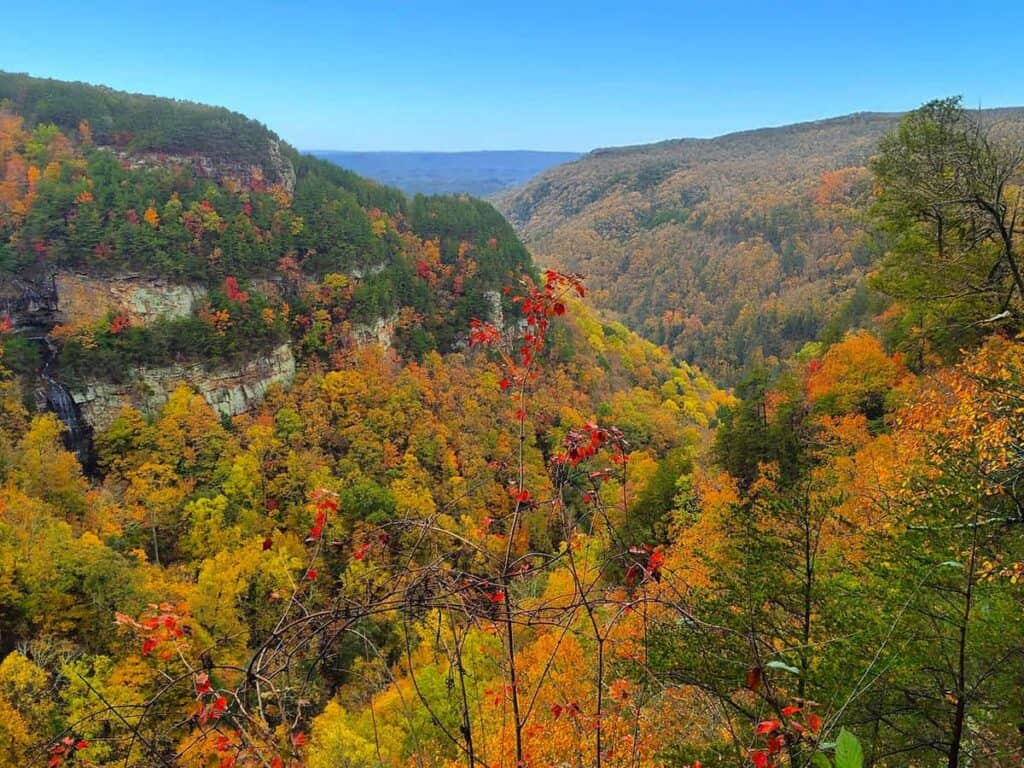 Scenic view of Cloudland Canyon in autumn with colorful foliage, cliffs, and a clear blue sky.
