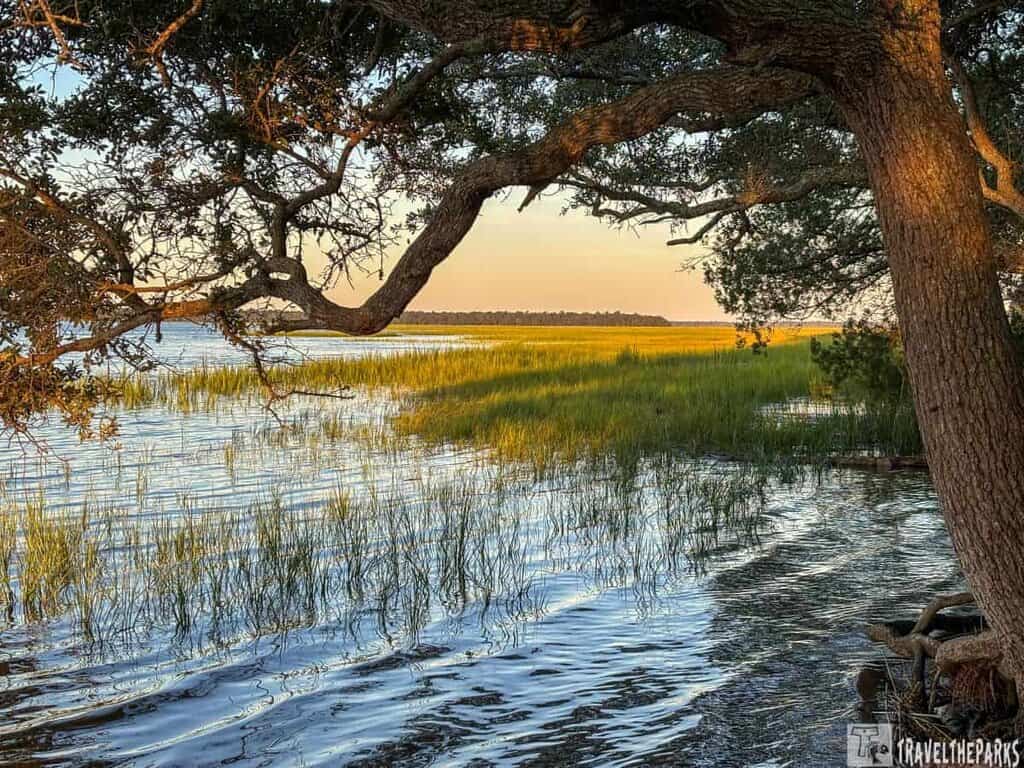 A serene waterway at Crooked River State Park, framed by a large tree branch and bordered by marsh grass under a sunset sky.