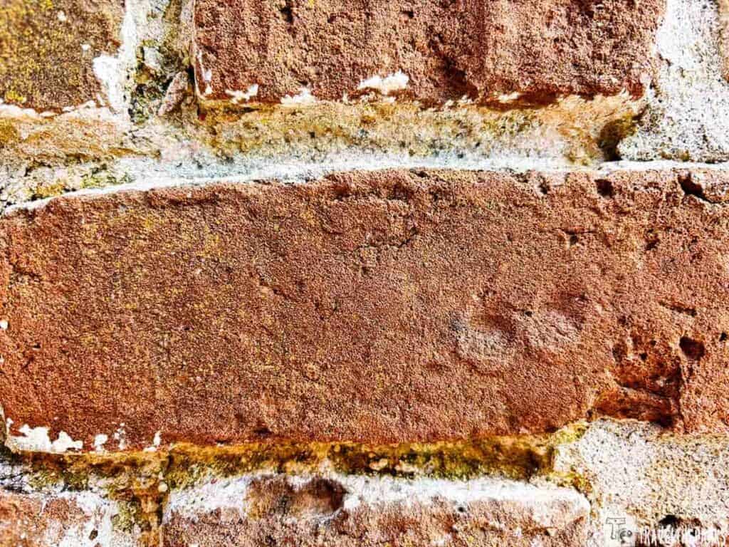 Close-up of a weathered red-brown brick wall with white mortar seams. Visible fingerprints from slaves that formed the original bricks..