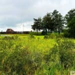 A view of Historic Jamestowne with lush greenery in the foreground and a reconstructed wooden fort in the background.