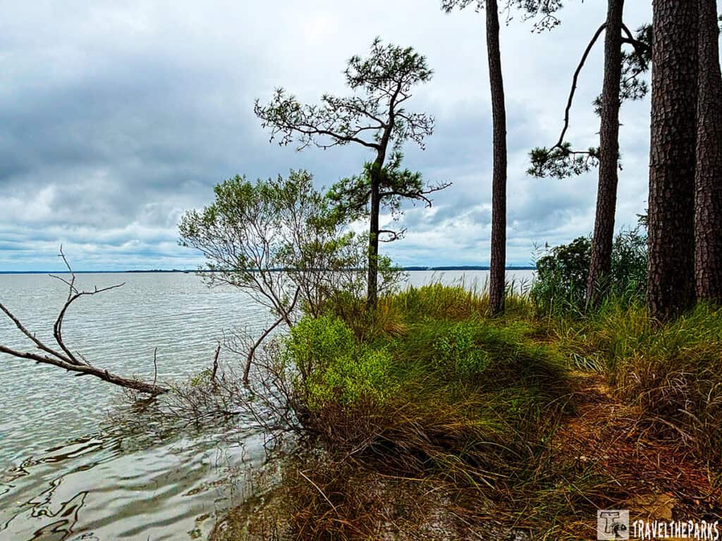 Riverside scene with trees and grassy bank along calm water under overcast sky.