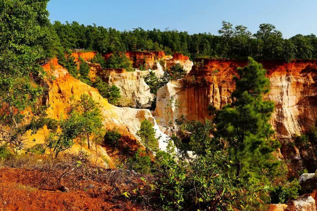 Providence Canyon with multicolored cliffs and surrounding greenery against a blue sky.