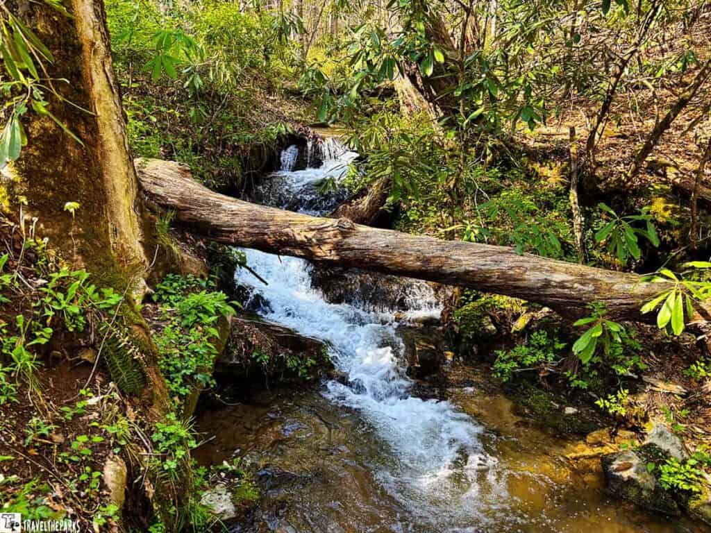 Waterfall in a forest with a fallen tree trunk across the stream at Black Mountain Rock State Park.