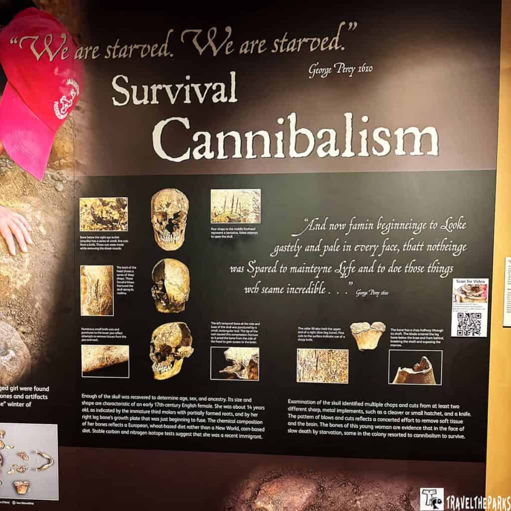 Exhibition display titled "Survival Cannibalism" with images of skulls and bones and historical descriptions.