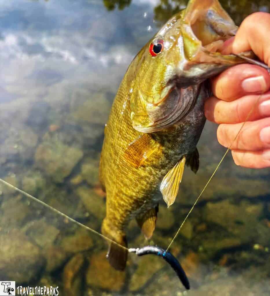A hand holding a fish with a lure in its mouth over clear water.


