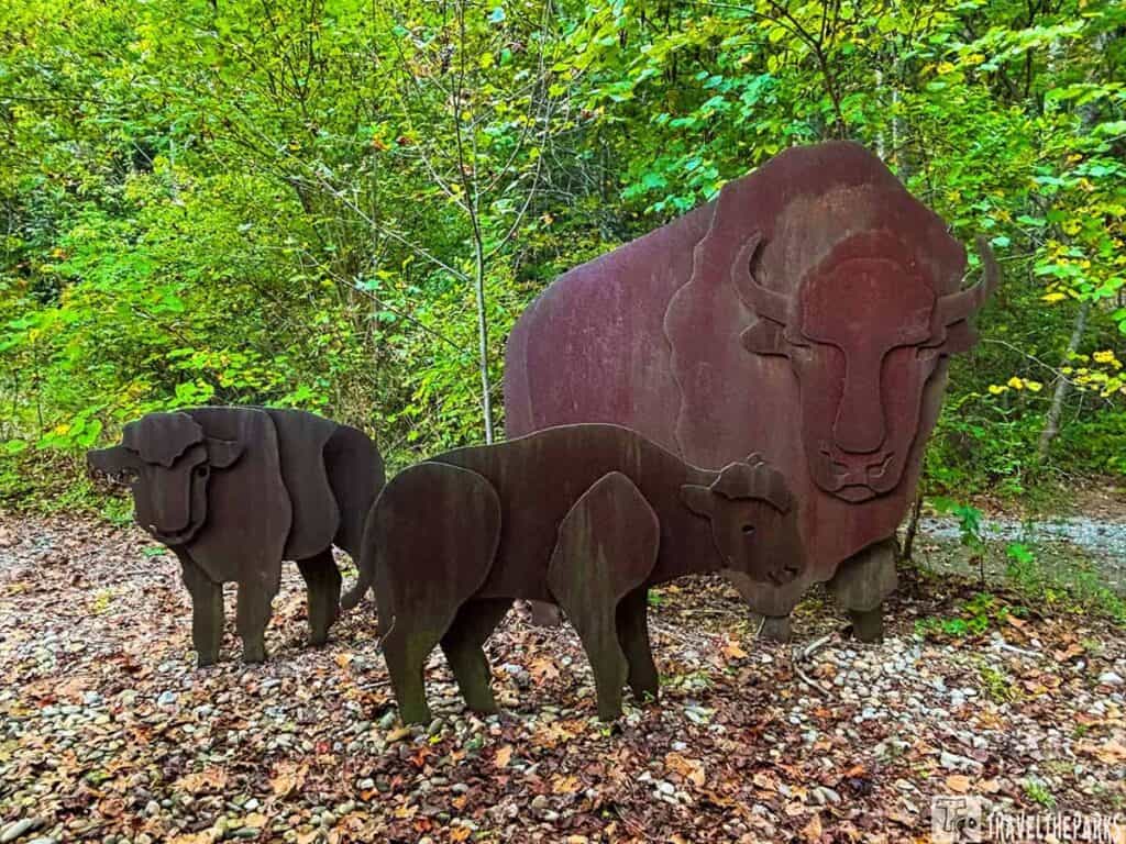 Metal sculptures of buffalo in a forest setting.
Metal sculptures of buffalo in a forest setting.