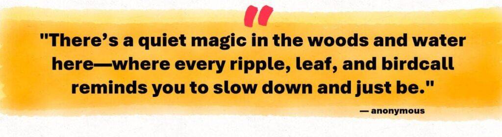 "There’s a quiet magic in the woods and water here—where every ripple, leaf, and birdcall reminds you to slow down and just be."