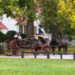 A horse-drawn carriage with passengers in period attire on a tree-lined path at Colonial Williamsburg.