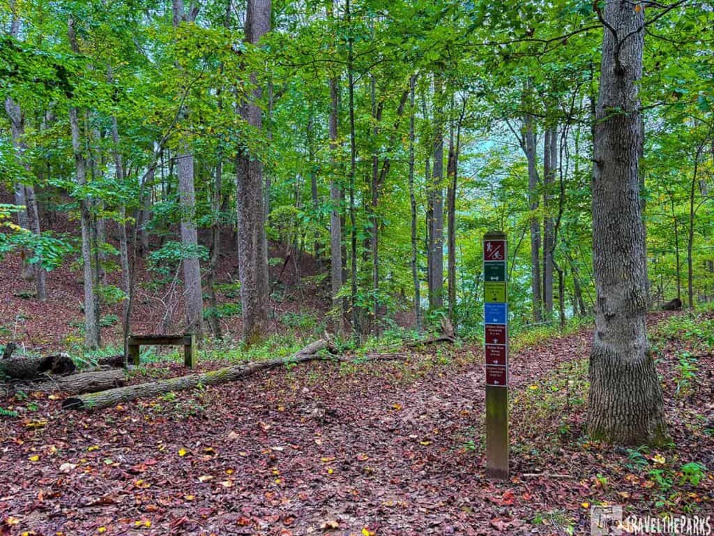 Dense forest with trees and a trail marker at Claytor Lake State Park.

