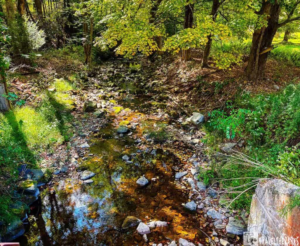 A peaceful creek with rocks surrounded by lush greenery in a forest.

