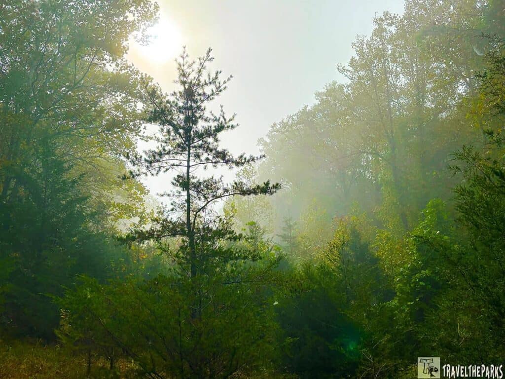 Cumberland Gap NHP enveloped n a misty forest fog