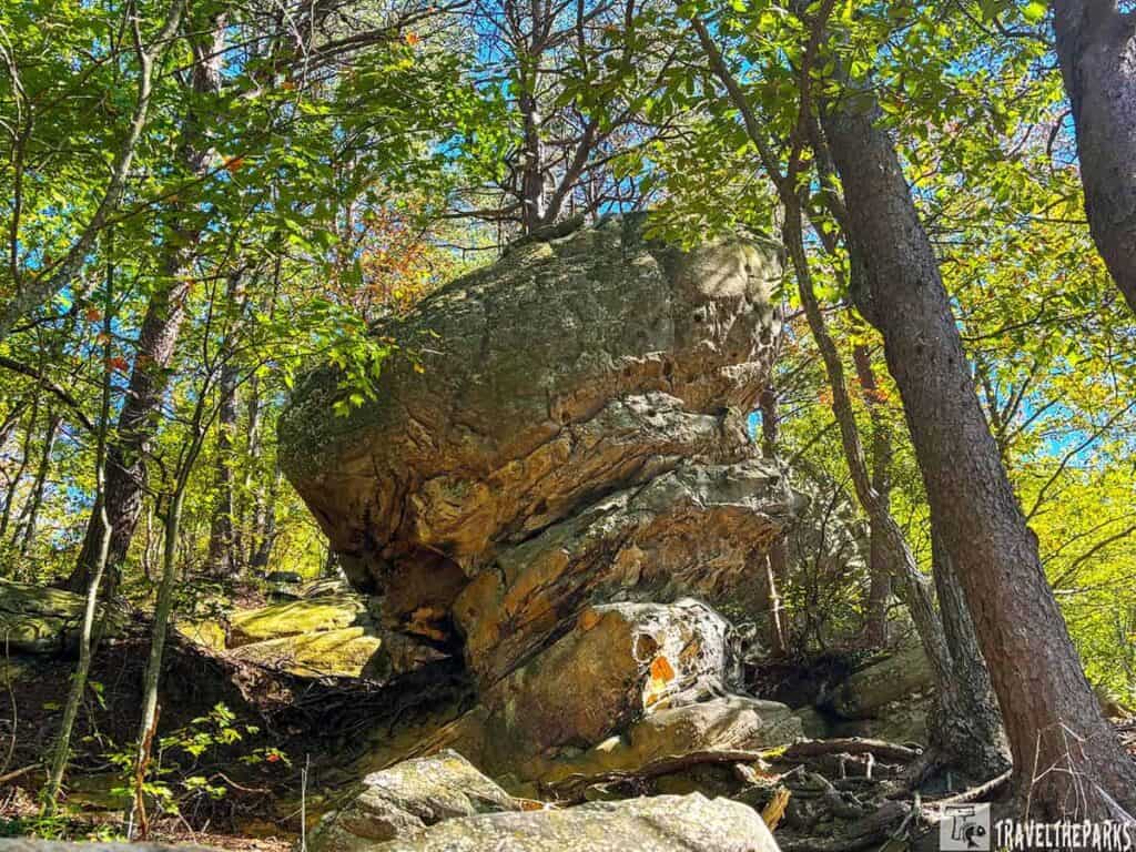 A large rock formation with an overhang, surrounded by trees in a forest.