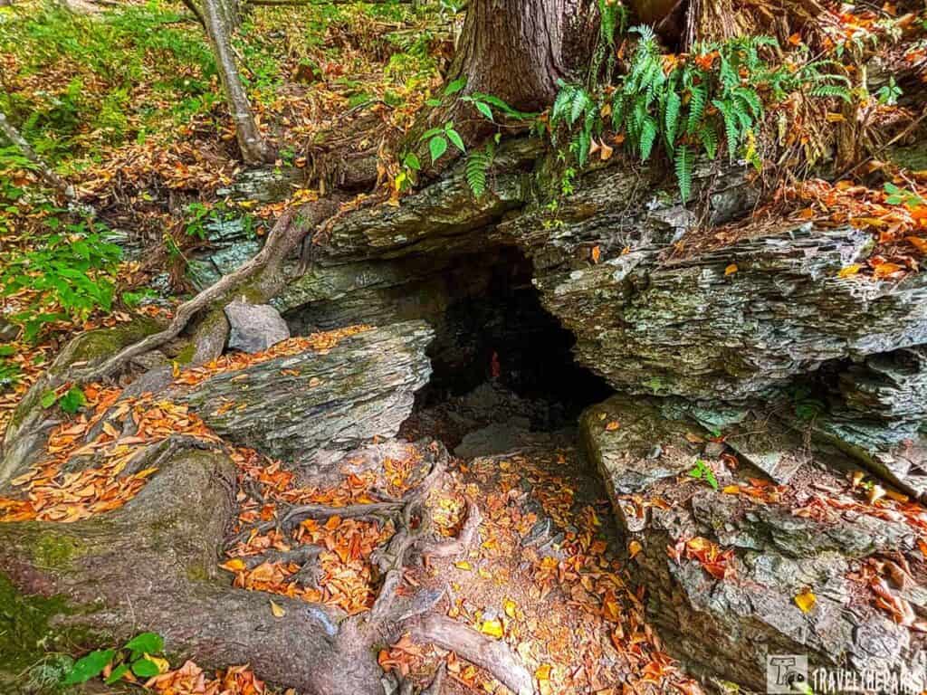 A cave entrance surrounded by layered rocks, tree roots, and autumn leaves in Delaware Water Gap.