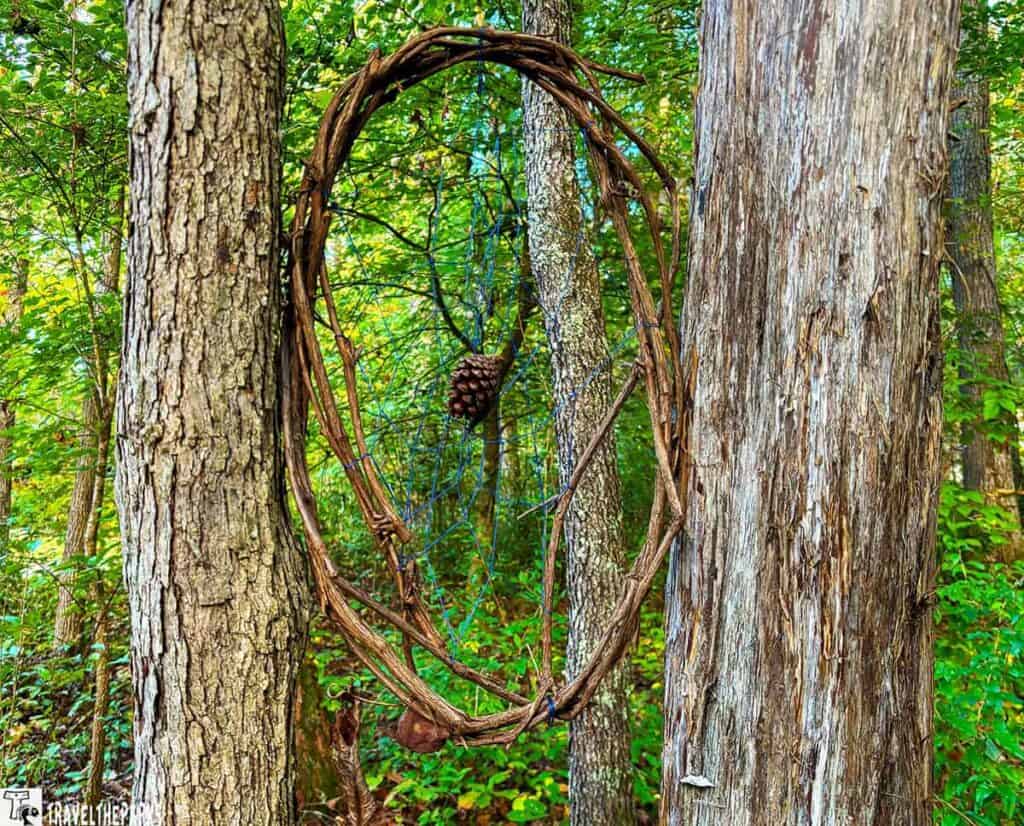 Oval vine structure hanging between tree trunks in a forest with a pine cone inside.
