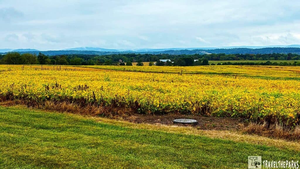 Golden crop field with grassy foreground at Eisenhower National Historic Site.