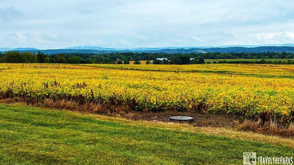 Golden crop field with grassy foreground at Eisenhower National Historic Site.