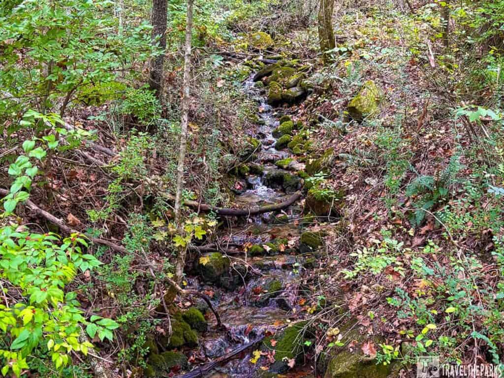 A small stream flows through a forested area with moss-covered rocks and dense green vegetation.