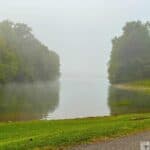 Misty lake scene with trees and a grassy shoreline at Claytor Lake State Park.