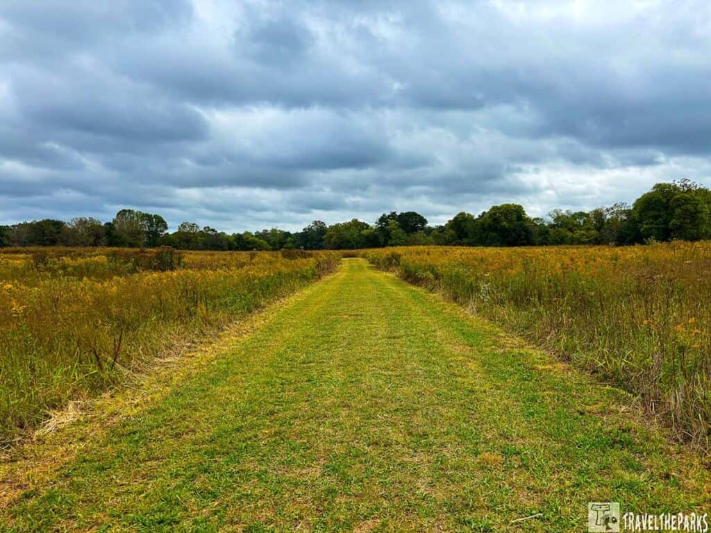 At Etowah Mounds a grassy path through a field with wild vegetation under a cloudy sky.