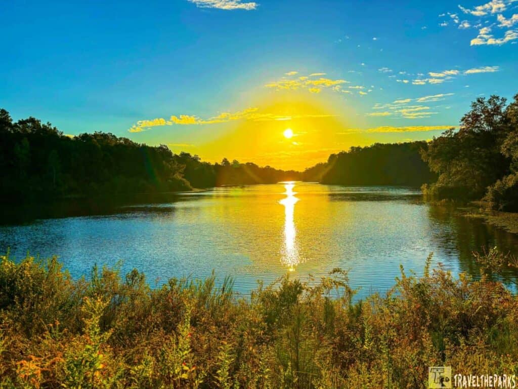 Sun setting over a lake, with trees and grasses in the foreground.


