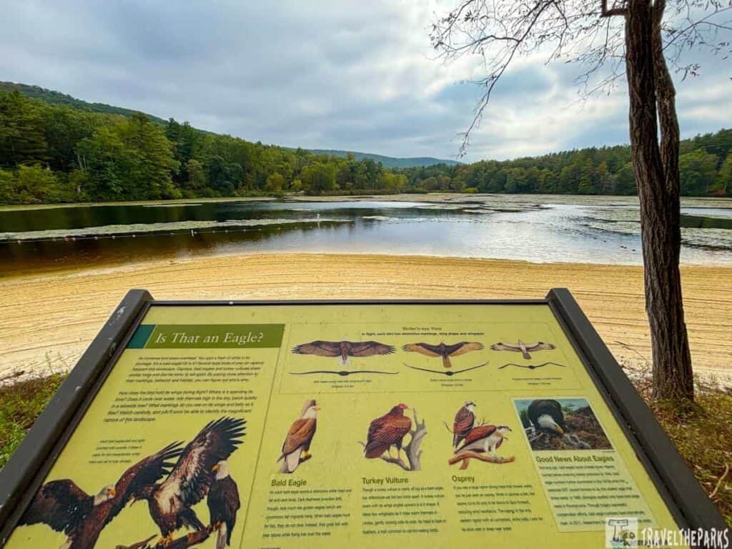 Informational sign about birds with Laurel Lake and forested landscape in the background.