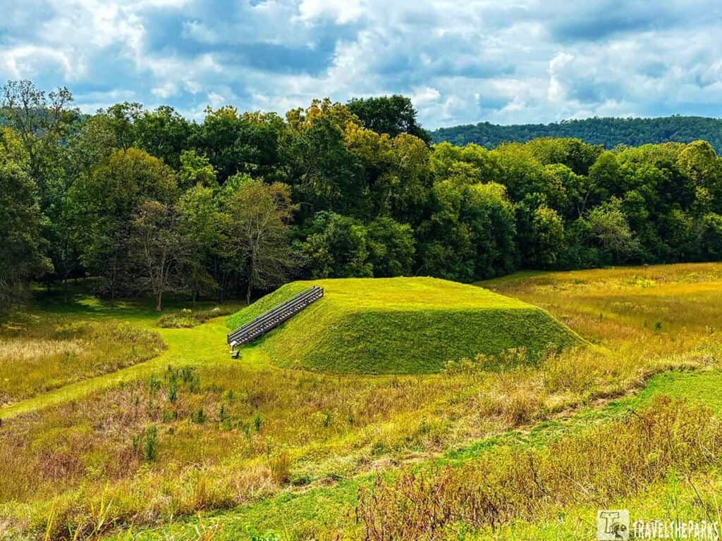 Grassy mound C with stairs at Etowah Mounds, surrounded by fields and forest.
