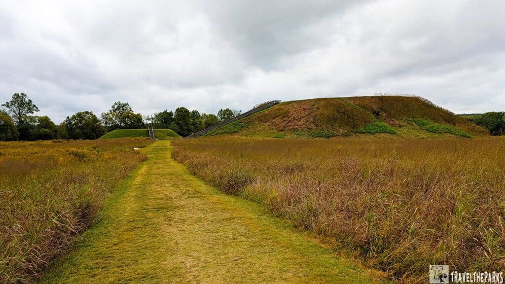 A grassy path leads to two large earthen mounds at Etowah Mounds, surrounded by wild grasses and under a cloudy sky.