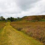 A grassy path leads to two large earthen mounds at Etowah Mounds, surrounded by wild grasses and under a cloudy sky.