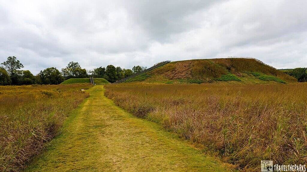 A grassy path leads to two large earthen mounds at Etowah Mounds, surrounded by wild grasses and under a cloudy sky.