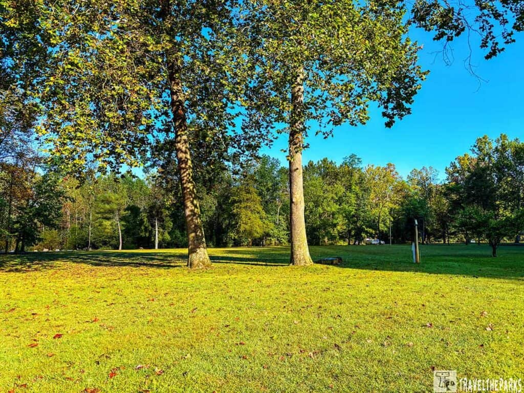 A grassy area at Natural Chimneys Park with two tall trees and a clear blue sky. Shadows are cast on the grass from the trees.

