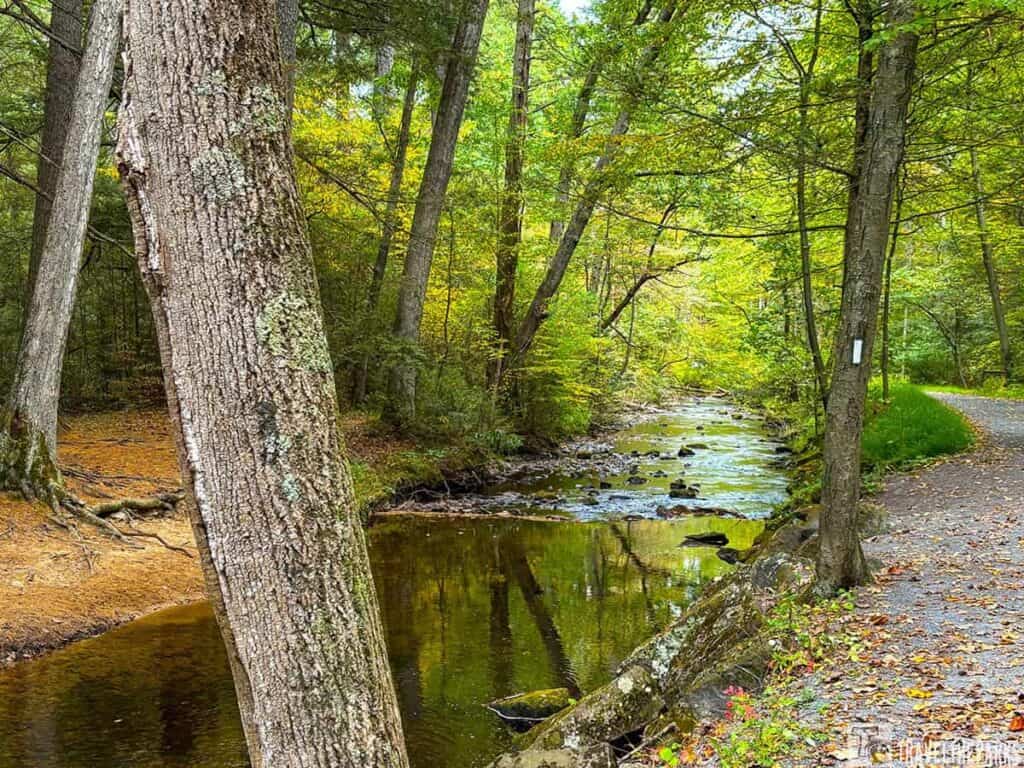 Forest scene with a creek, trees, and a gravel path in Pine Grove Furnace State Park.