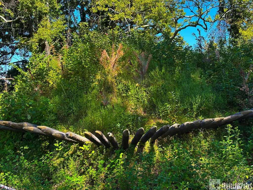 Wooden defense structure surrounded by lush greenery at Redoubt 10, Yorktown Battlefield.