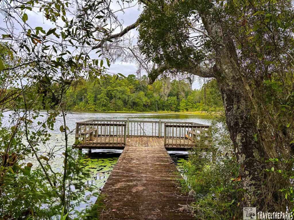 A wooden dock leading to a platform over a lake, surrounded by lush greenery and trees.

