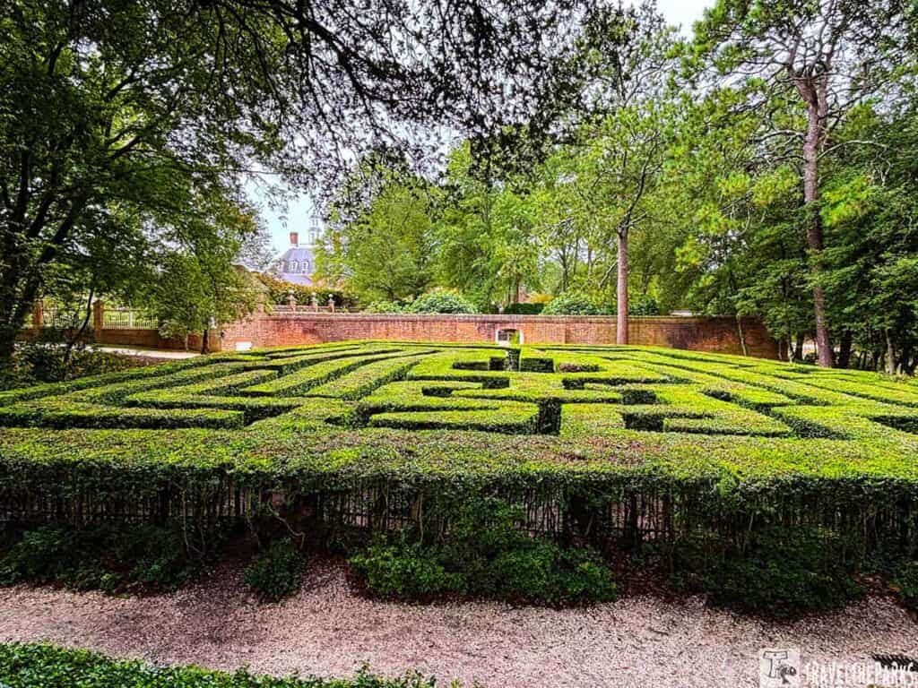 Hedge maze and brick wall at the Governor’s Palace in Colonial Williamsburg, with trees and the palace in the background.