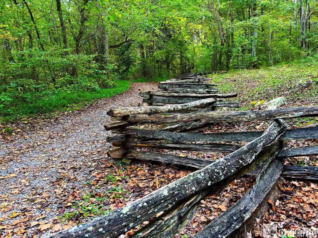 A split-rail wooden fence beside a gravel path in a lush, green forest.