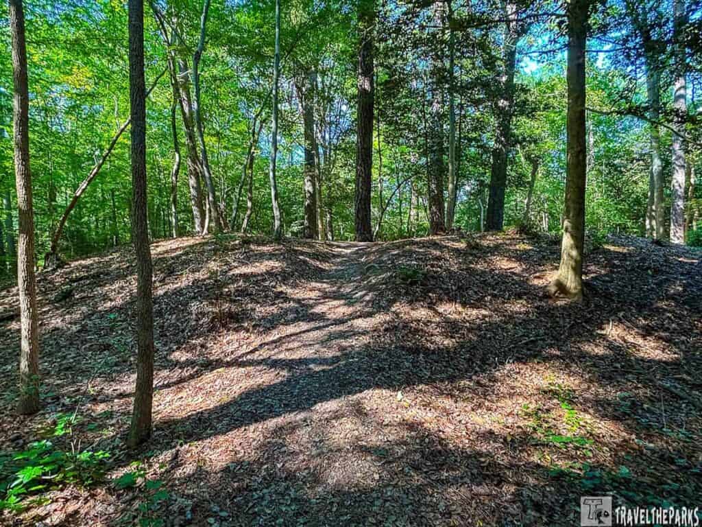 Forest scene with an earthen redoubt surrounded by trees and sunlight.