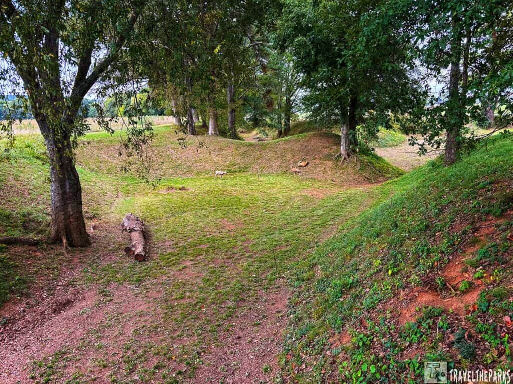 Borrow Pit: Grassy area with mounds and trees, featuring a fallen tree trunk.
