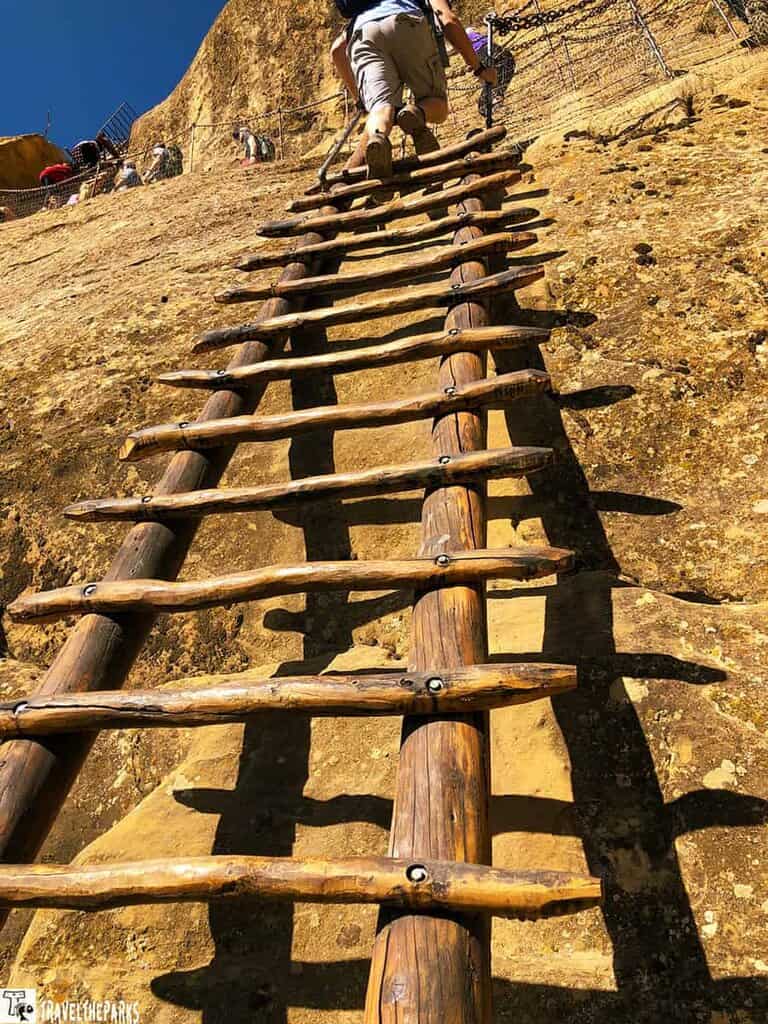 A person climbs a steep wooden ladder up a sandstone cliff at Balcony House, Mesa Verde.

