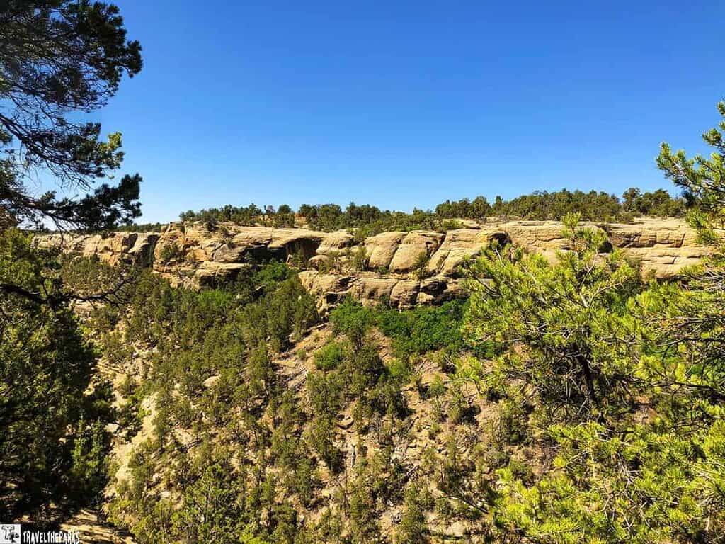 View of the canyon and cliffs at Cliff Palace, Mesa Verde, with green trees and a clear blue sky.

